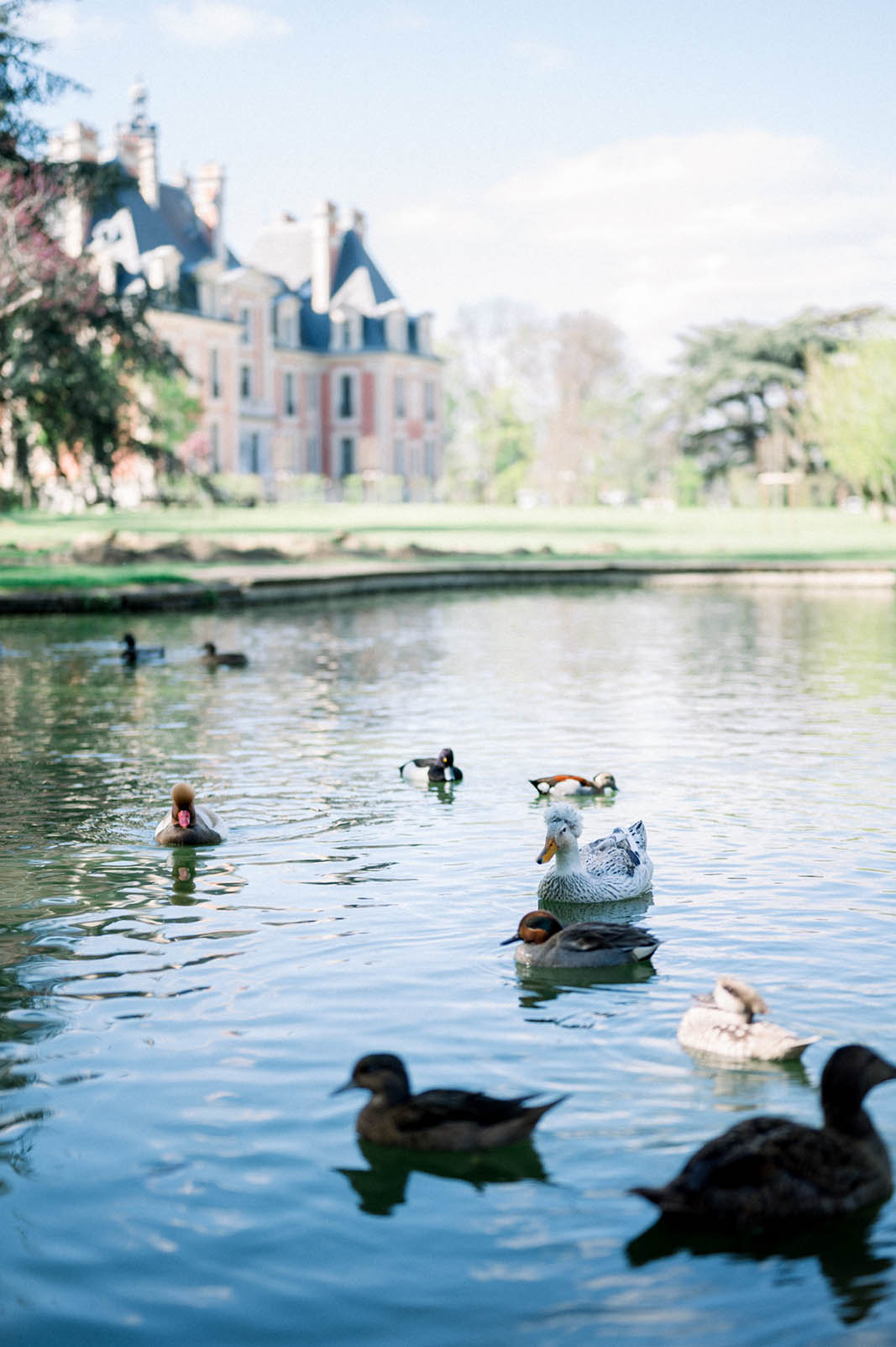 Vue de l etang